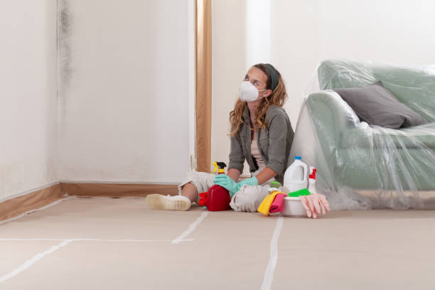 Reliable Mold Removal contractor in Jacksonville Beach, FL by WQB Mold Removal